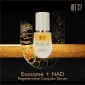 DR.12 金鑽外泌體精華 30ML