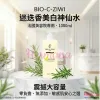 BIO-C-ZIWI 迷迭香美白神仙水 1000ml