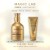 【洗護套裝】MAGIC LAB 金裝灰髮逆轉洗頭水 Pro 500ml ＋ Glossy Hair 護髮素 500g
