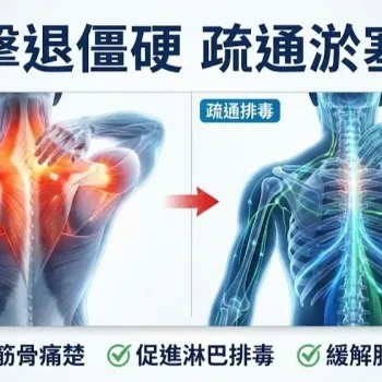 Neville  按摩油-Muscle舒緩通淋巴300ml