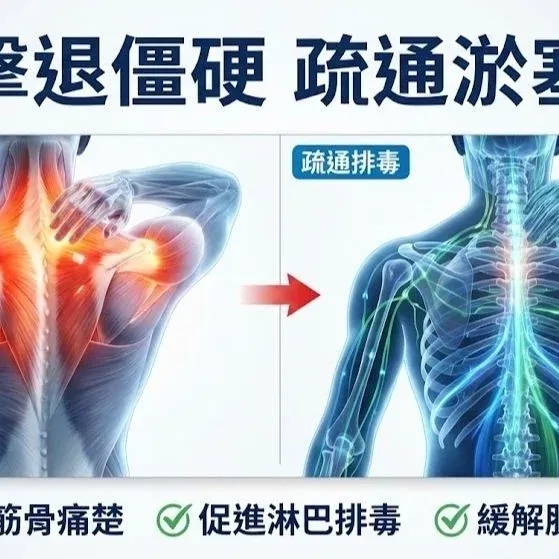 Neville  按摩油-Muscle舒緩通淋巴300ml