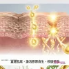 REDDOT 精華系列 源點・生肌粒子 (120粒)