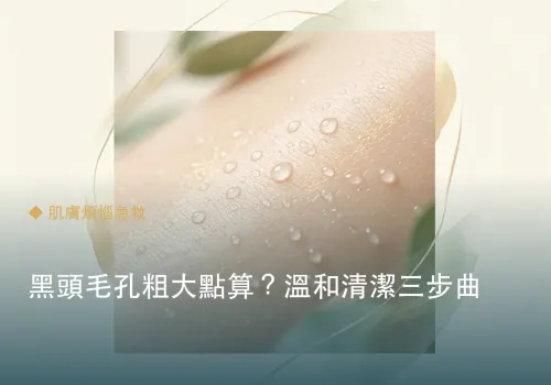 黑頭毛孔粗大點算？溫和清潔三步曲