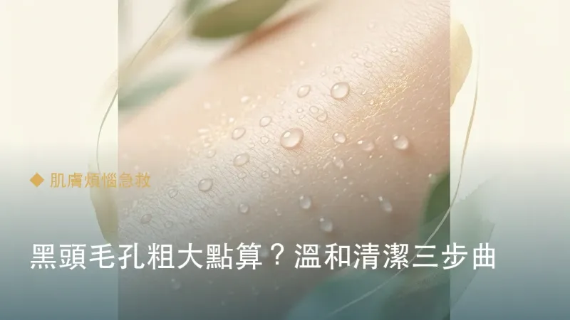 黑頭毛孔粗大點算？溫和清潔三步曲