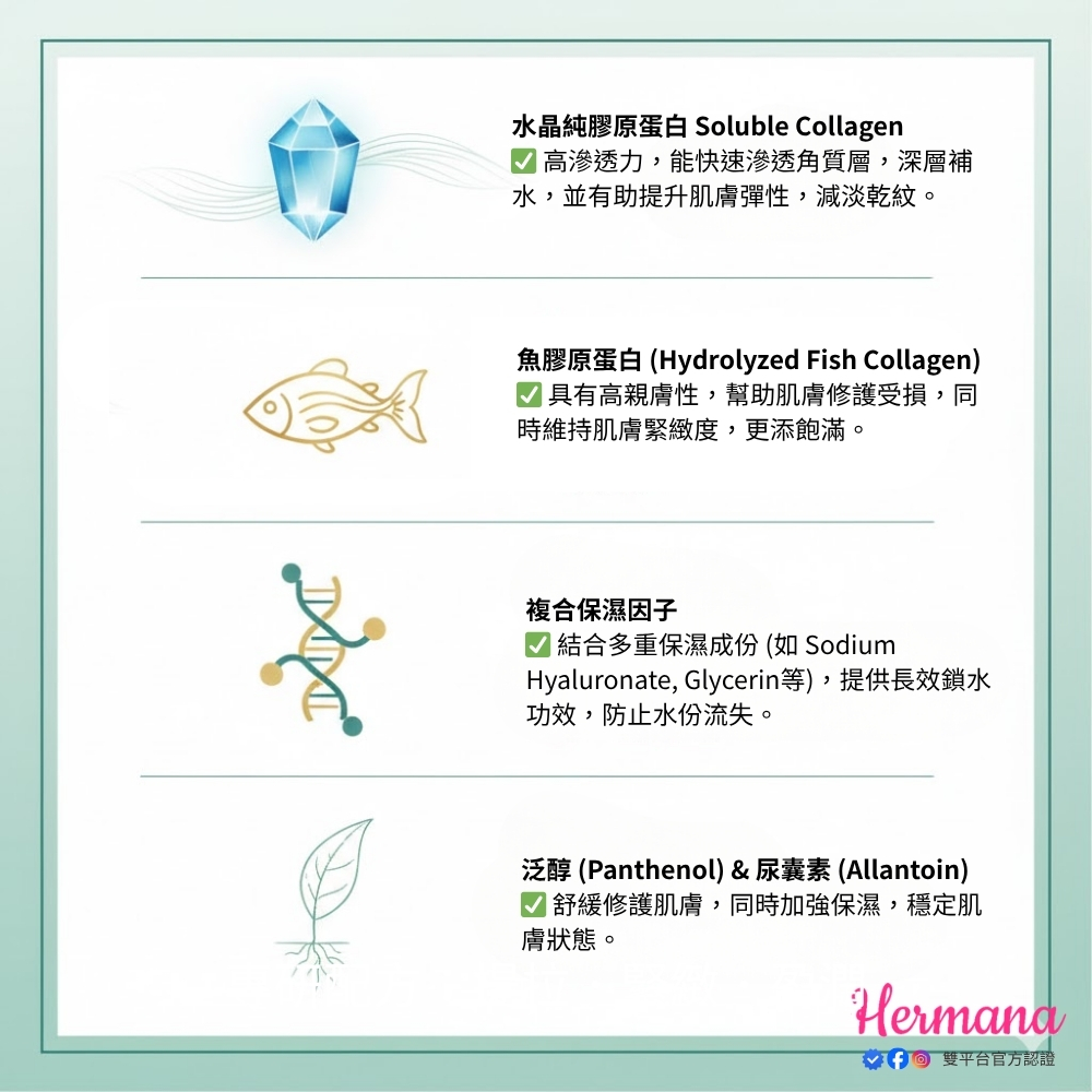 專業級配方：無酒精・親膚低敏