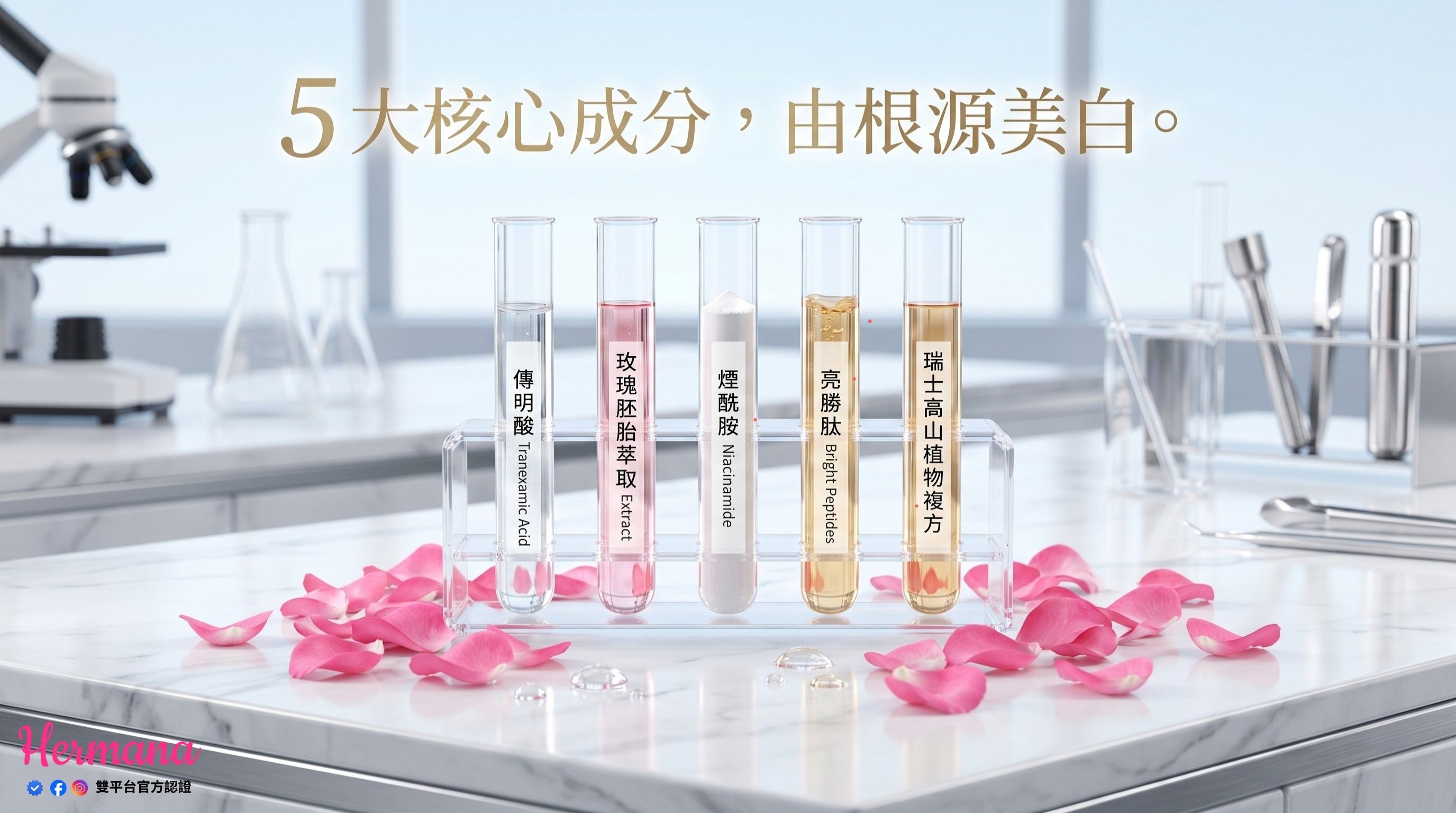 成份功效分解圖