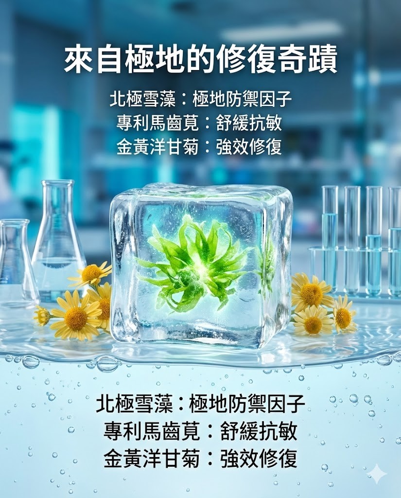 北極雪藻及專利馬齒莧成分