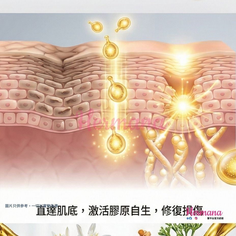 微囊化EGF滲透原理 1